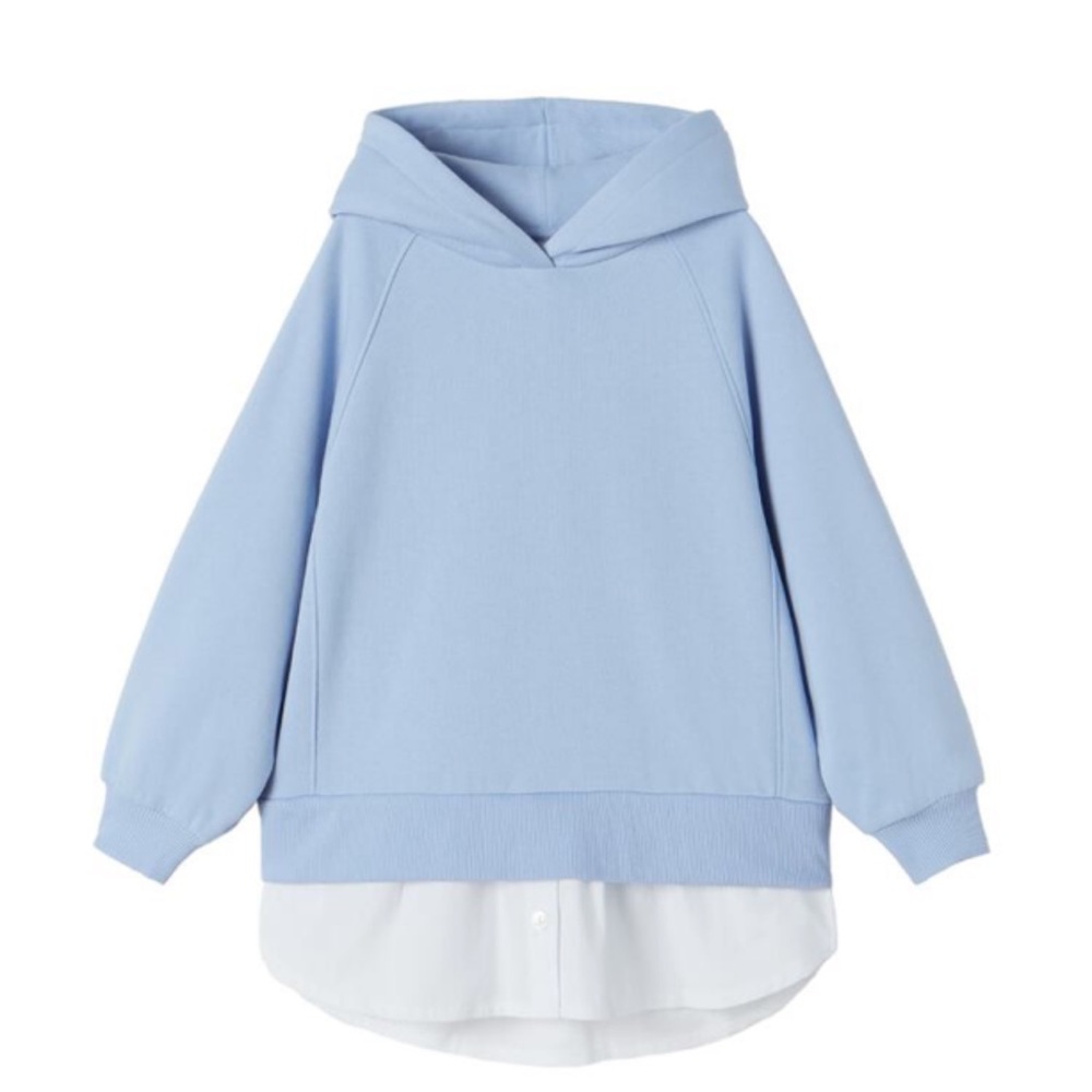 Zara sweatshirt